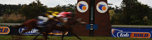 Sports Betting Sport horses crossing the finish line