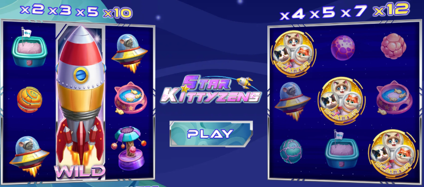 Star Kittyzens